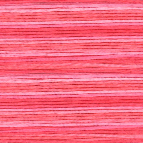 164861_Мулине Cosmo меланж Seasons 8010