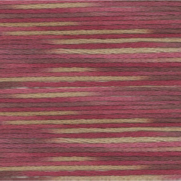 164941_Мулине Cosmo меланж Seasons 9010