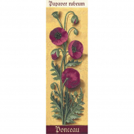 Набор для вышивания PANNA Живая картина арт. JK-2122 Ботаника. Маки 7х24,5 см