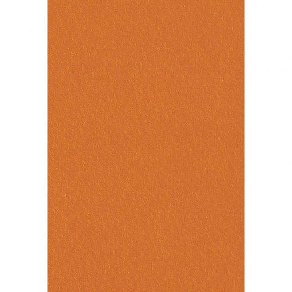 80300_Бумага универсального назначения "Color Multi Purpose Card"