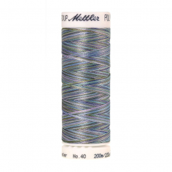22840_Нить вышивальная мультиколор POLY SHEEN MULTI, 200 м
