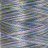 22840_Нить вышивальная мультиколор POLY SHEEN MULTI, 200 м