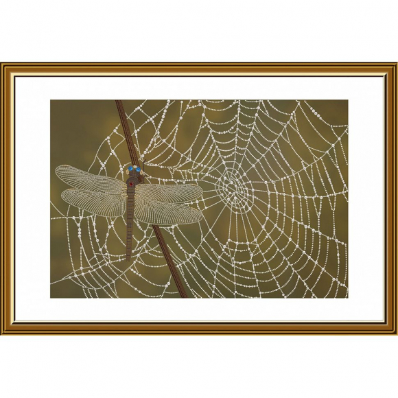 Набор для вышивания бисером НОВА СЛОБОДА арт.ДК1202 Лесное ожерелье 33х49 см