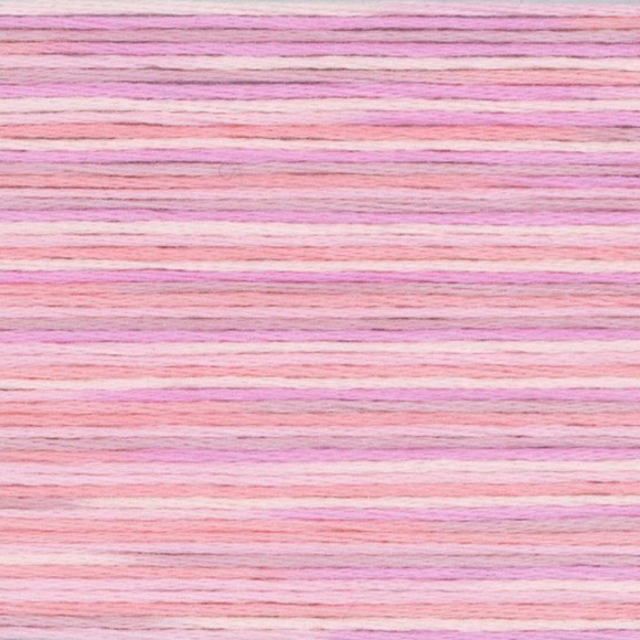 164812_Мулине Cosmo меланж Seasons 5001