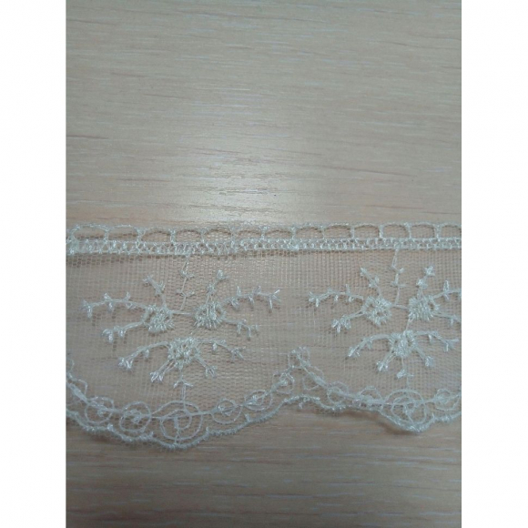 Кружево на сетке арт.TR 2007 шир.60мм цв.02 молочный, уп.9м