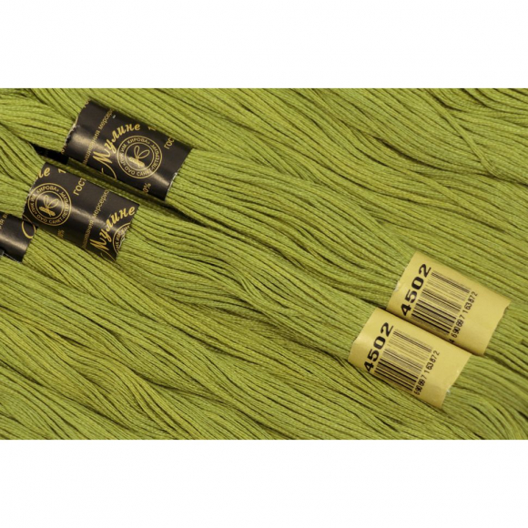 Нитки мулине цв.4502 св.зеленый 12х10м С-Пб