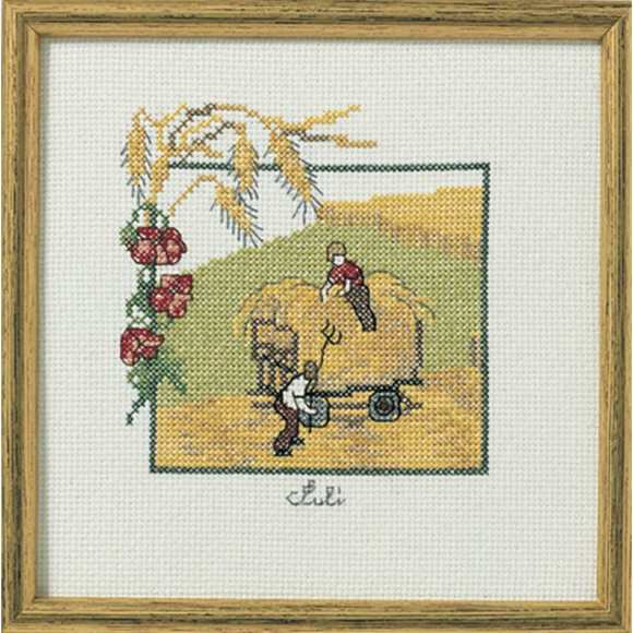 Набор для вышивания: "Июль"