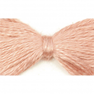 Нитки мулине цв.5603 12х10м С-Пб