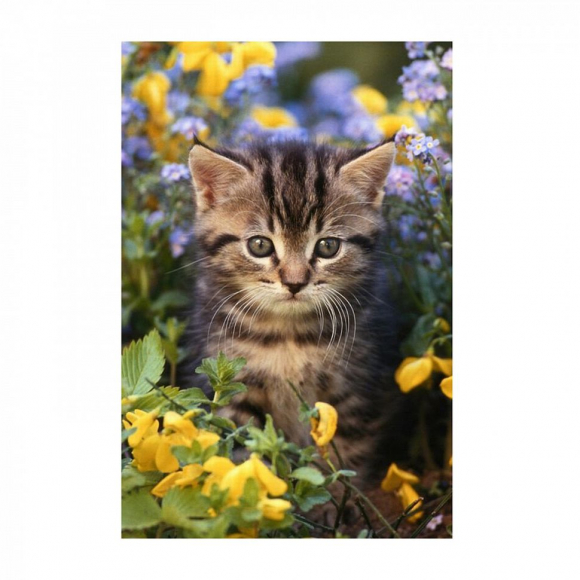 Картина по номерам с цветной схемой на холсте Molly арт.KK0603 Новые ароматы (18 цветов) 30х40 см