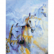 16720_Набор для вышивания "Арабские скакуны"