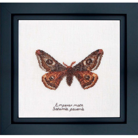 Набор для вышивания THEA GOUVERNEUR арт.562 Императорский мотылёк 21х21 см