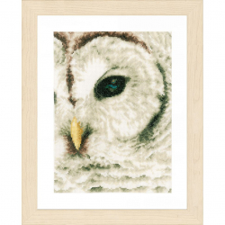 111184_Набор для вышивания "Owl"