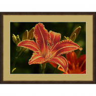 Набор для вышивания бисером "Лилия"