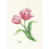 163775_Набор для вышивания "Тюльпан"
